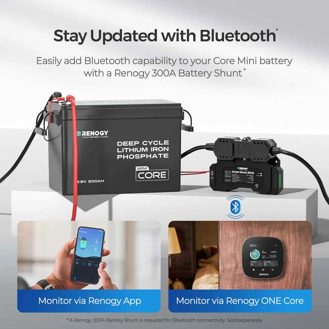 Renogy Mini 12V 200Ah LiFePO4 Battery w/ Low-Temperature Protection